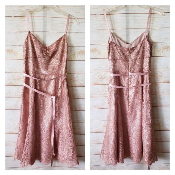 Ann Taylor Dresses & Skirts - Ann Taylor Lace Metallic Ribbon Strap Dress Eyelash Lace Hem Size 6 Blush Pink